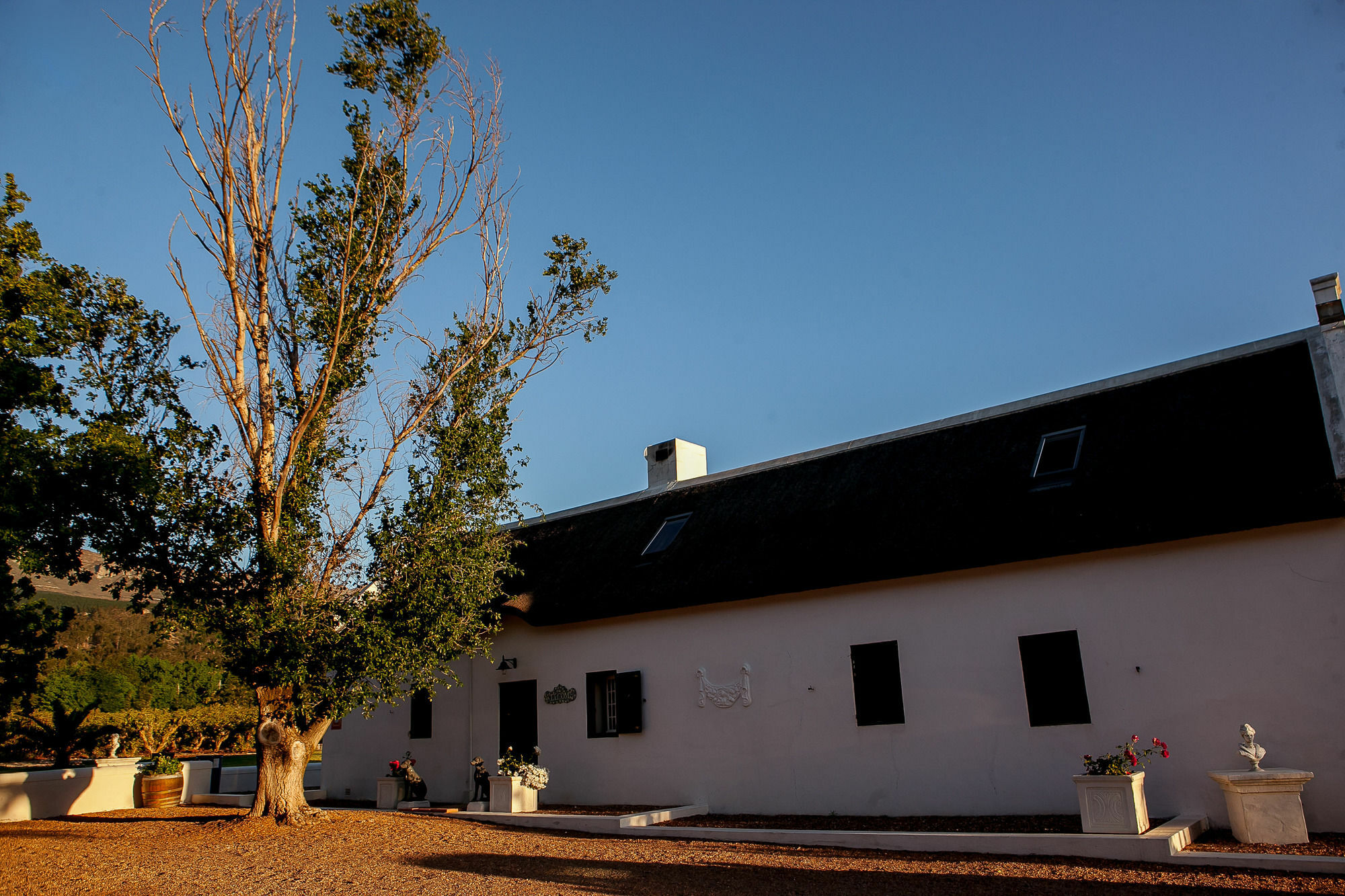 1692 De Kleijne Bos Country House パール エクステリア 写真